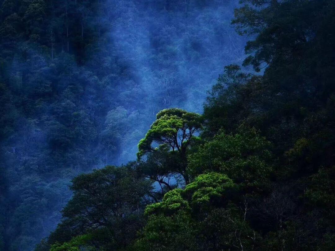 晚安 | 智慧的特征之一,就是不做绝望的事