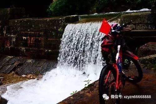全民烧脑3去广告版