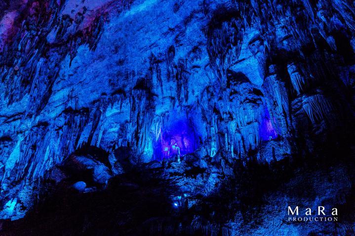 宝可梦探险寻宝