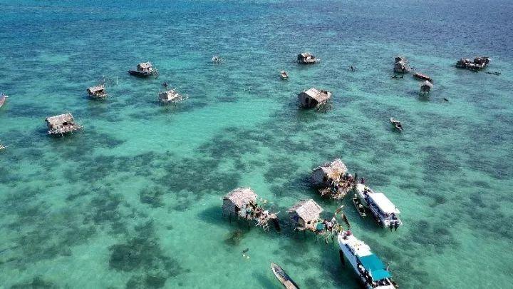 海南年味,“鸡”遇多多!