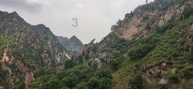 【生态立企】双鸭山：以林长制为抓手 筑牢绿色发展根基和生态安全屏障