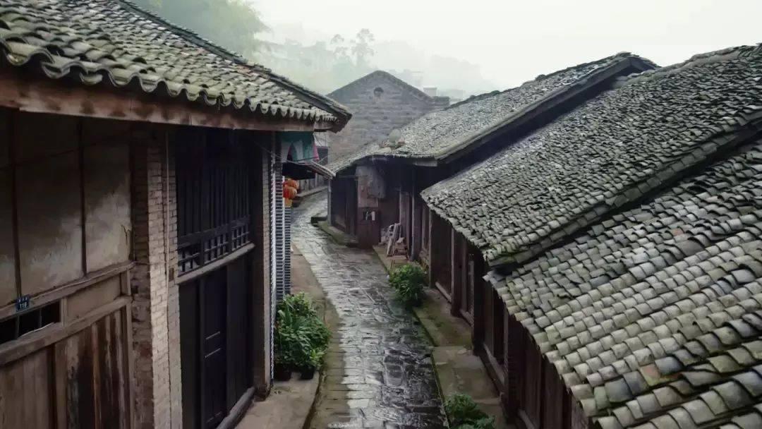 新疆乌什7.1级地震断层解析