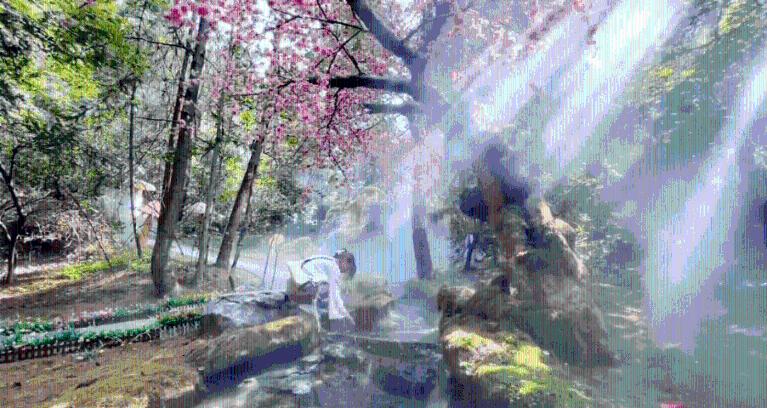 田雨与汤唯分手16年:女方嫁韩国丈夫,给父亲买房车